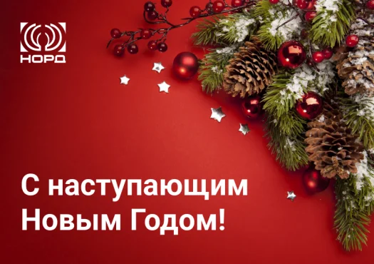 С наступающим 2024 годом!